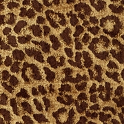 Picture of Leopardo Earth